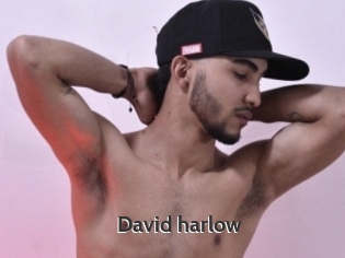 David_harlow