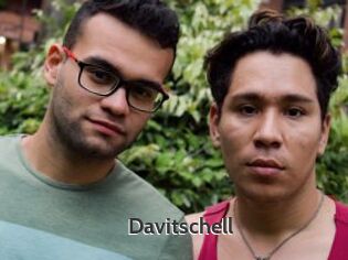 Davitschell