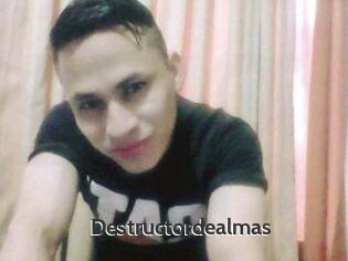 Destructordealmas