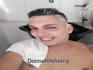 Donnatelohorny