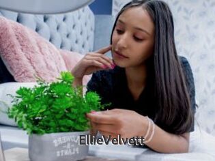EllieVelvett