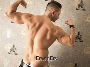 ErwinErv