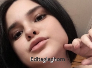 Editagleghorn