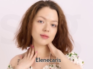 Elenecaris