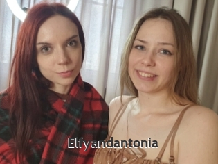 Elfyandantonia