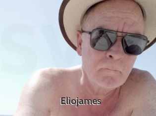eliojames Sex Video Gif