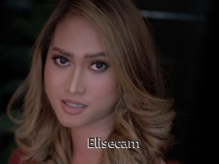 Elisecam