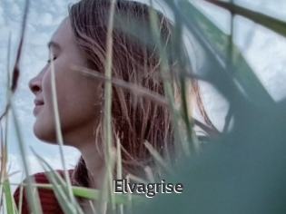 Elvagrise