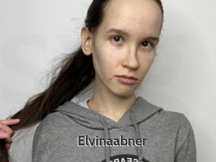 Elvinaabner