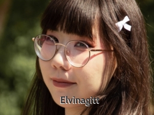 Elvinagitt