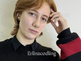 Erlinacodling