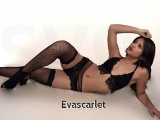 Evascarlet