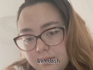 Eviedash