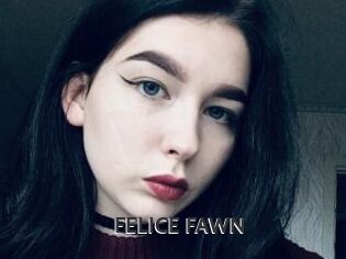 FELICE_FAWN