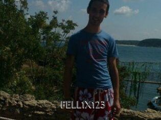 FELL1X123