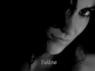Feline