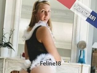 Feline18