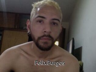 FelixBurgos