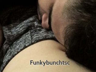Funkybunchtsc