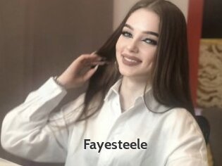 Fayesteele