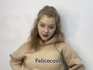 Felicecovil