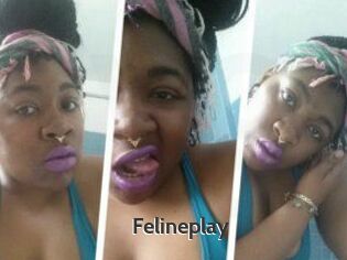 Felineplay