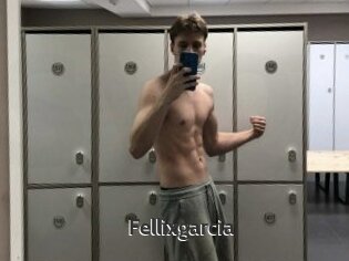 Fellixgarcia