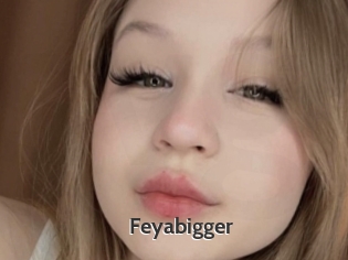 Feyabigger