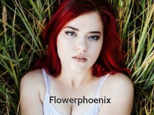 Flowerphoenix