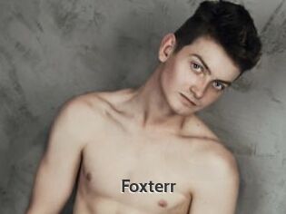 Foxterr