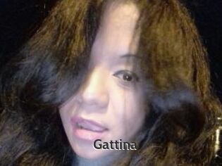 Gattina