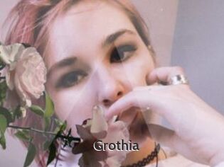 Grothia
