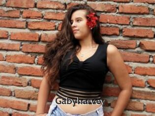 Gabyharvey