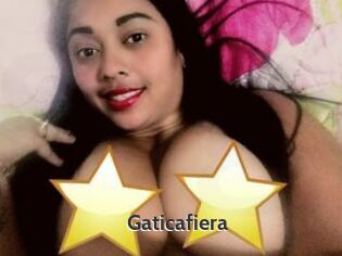 Gaticafiera
