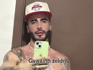 Gawainn_zeldris