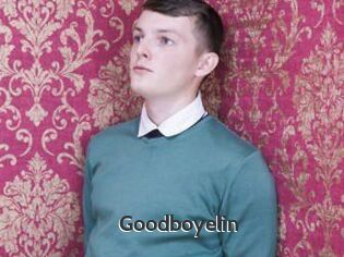 Goodboyelin
