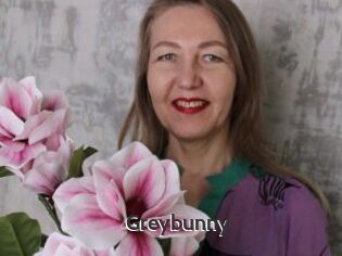 Greybunny