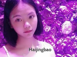 Haijingbao
