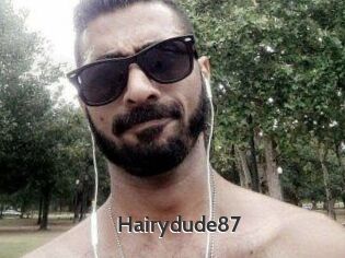 Hairydude87