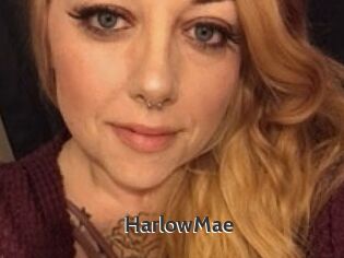 Harlow_Mae