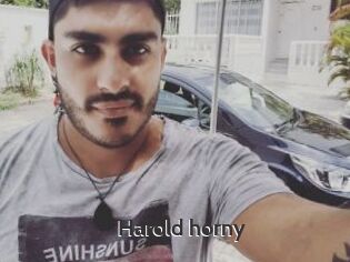 Harold_horny