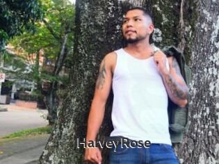 HarveyRose