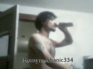 Hornymechanic334