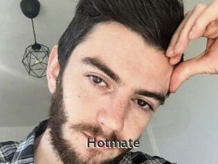 Hotmate