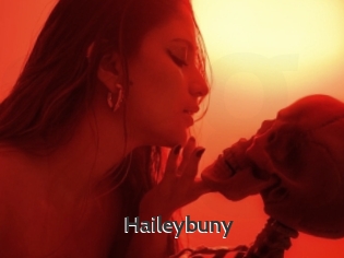 Haileybuny