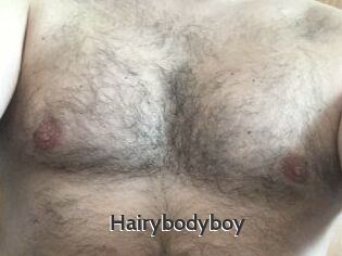 Hairybodyboy
