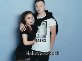 Halleyandbuck