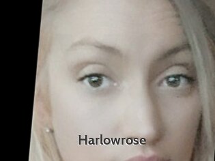 Harlowrose