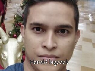 Harold_bigcock