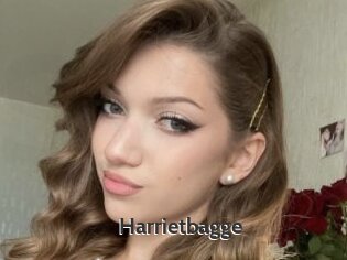 Harrietbagge